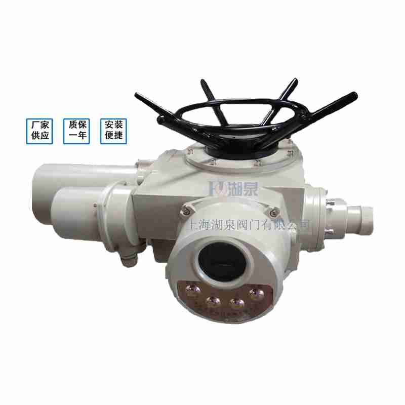 閥門電動(dòng)裝置（dzw05,10,20，30,45,60，90,12