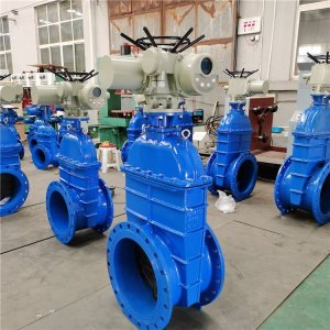 電動(dòng)閘閥Z941h -64 DN500（石化行業(yè)、煉油廠