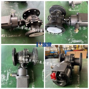 DN80電動球閥WCB材質(zhì)16公斤